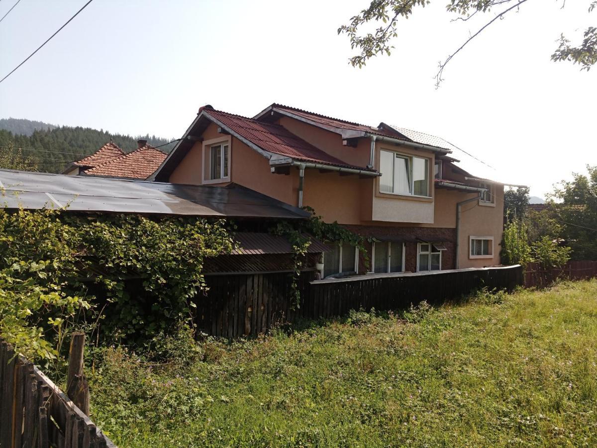坎普朗莫道尼斯Casa Cristian别墅 外观 照片