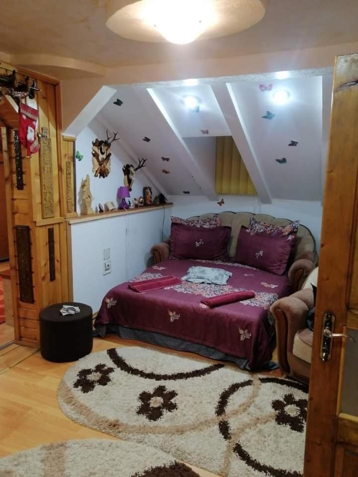 坎普朗莫道尼斯Casa Cristian别墅 外观 照片